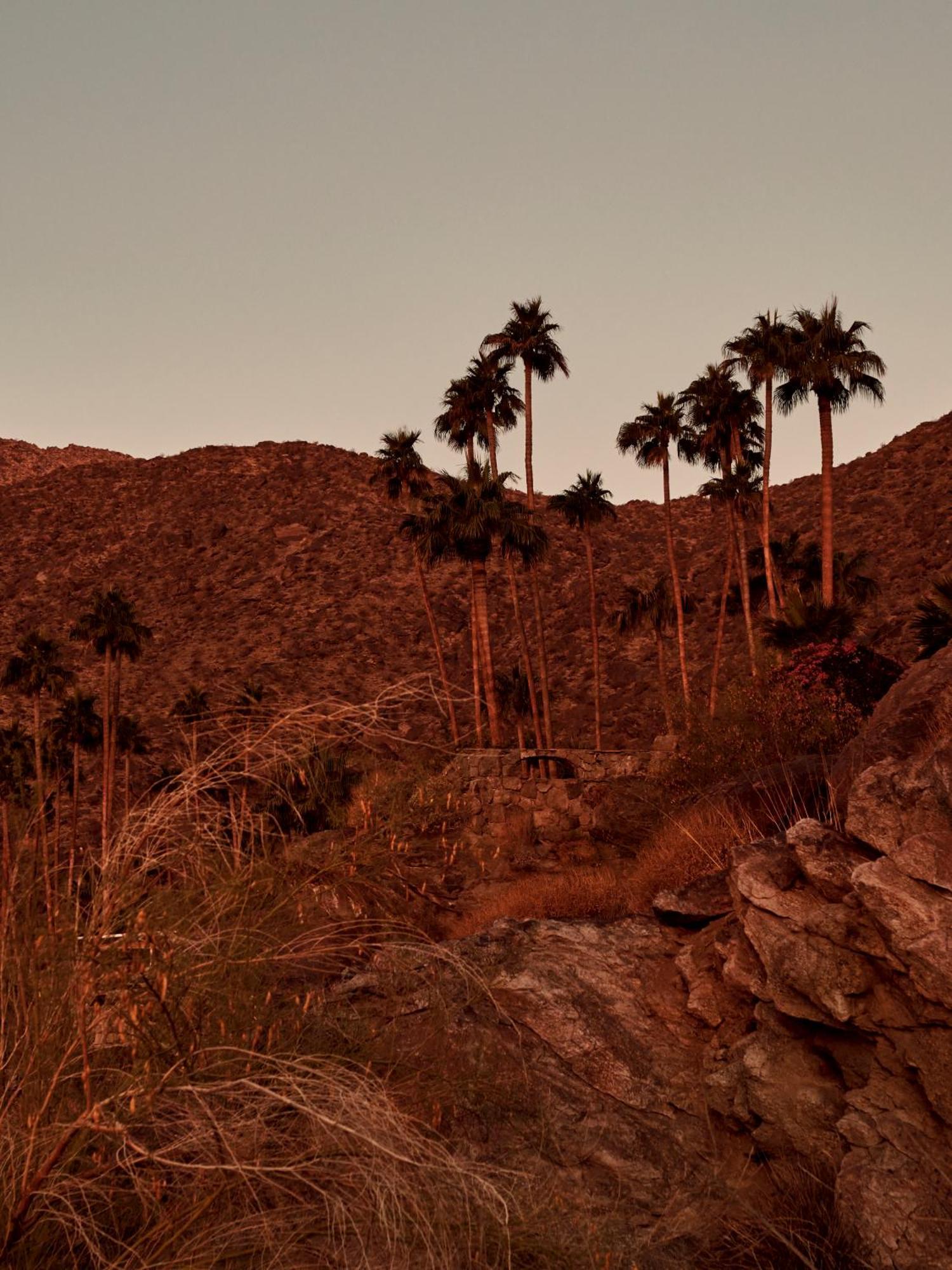 The Willows Palm Springs Esterno foto