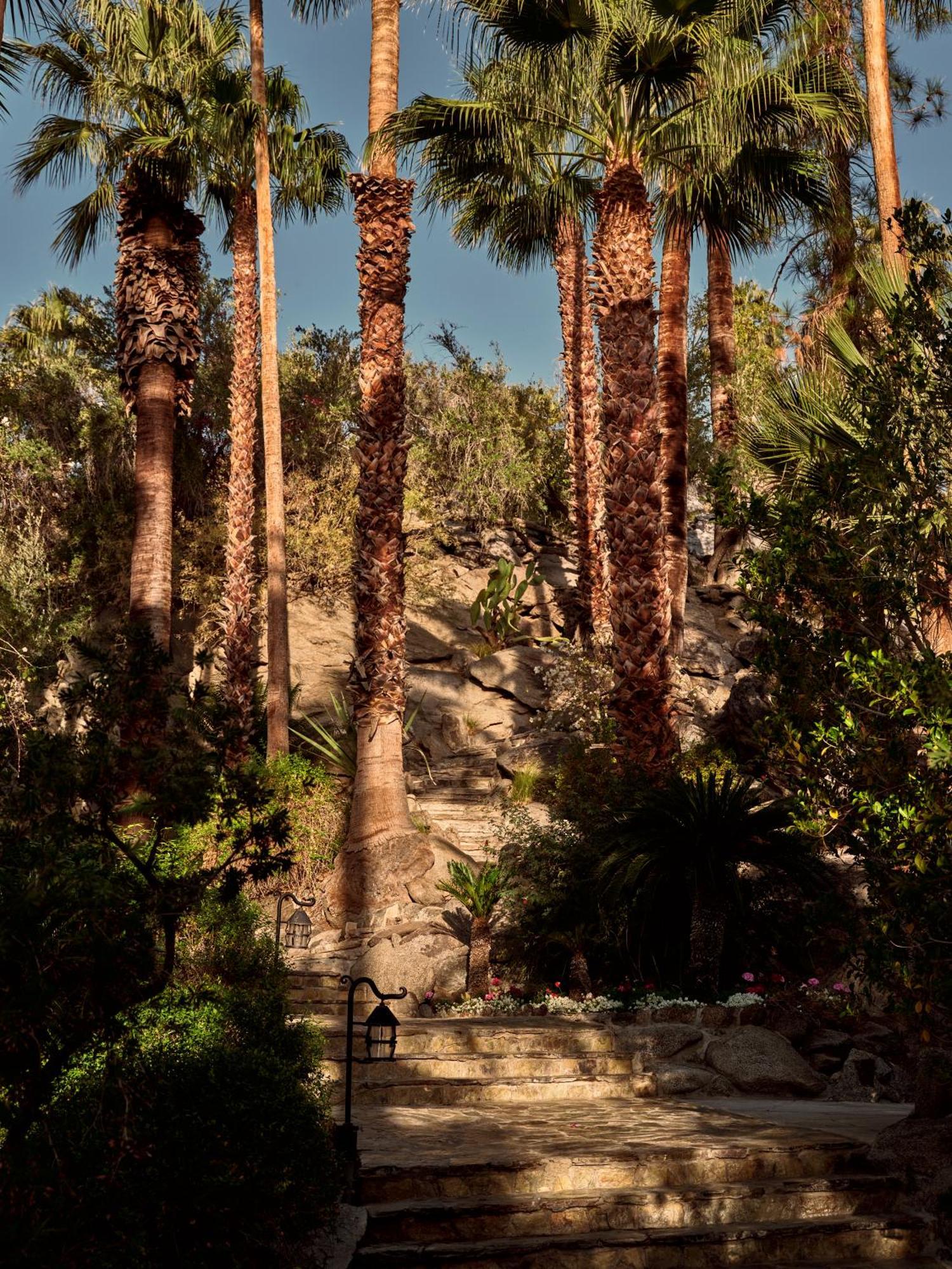 The Willows Palm Springs Esterno foto