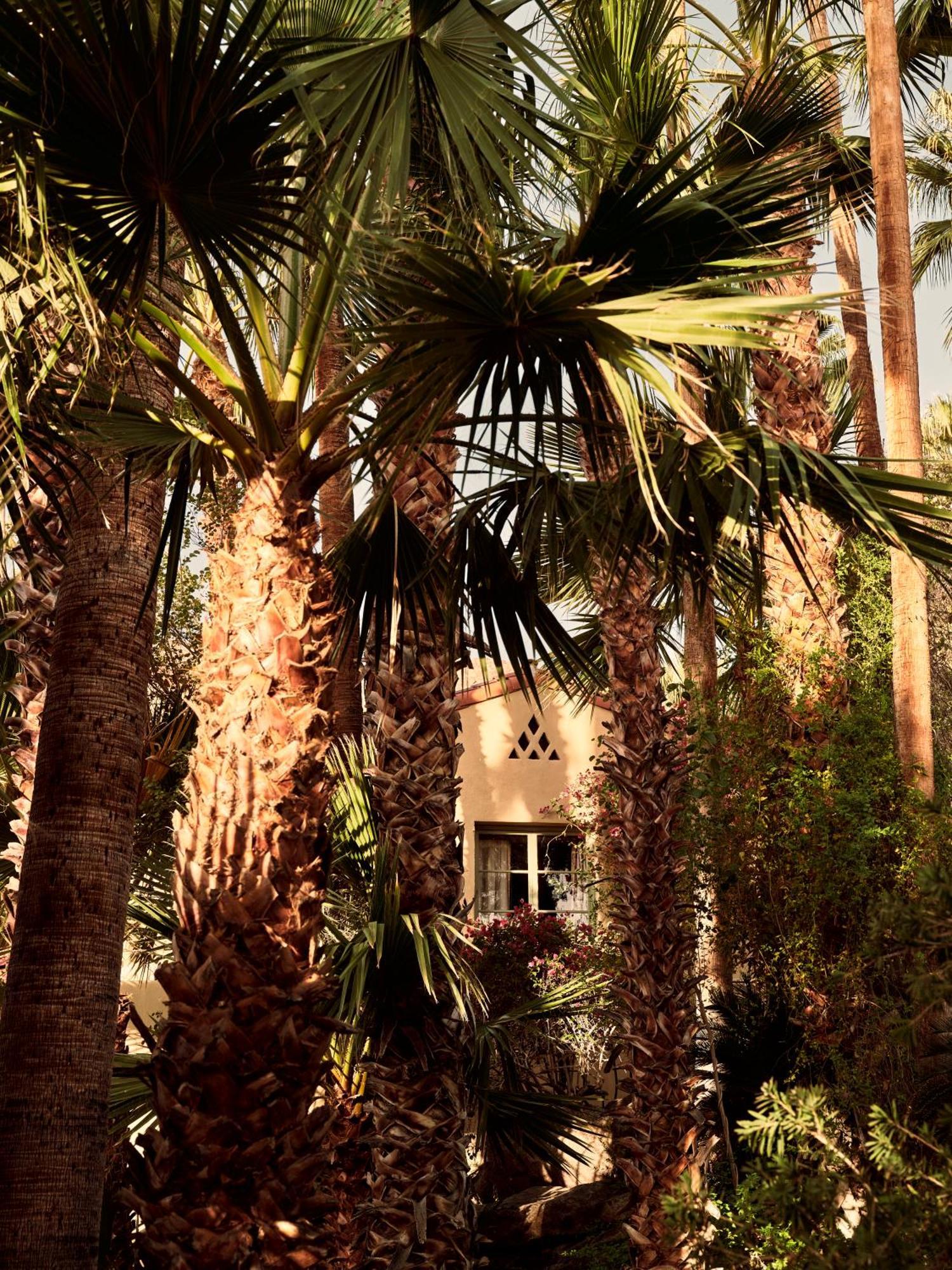 The Willows Palm Springs Esterno foto